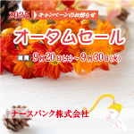オータムセールDM